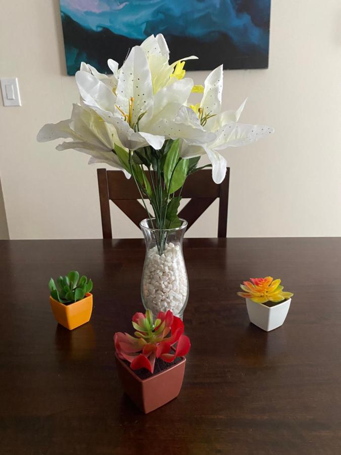 Private Room In South Philly Near Arenas! Филаделфия Екстериор снимка