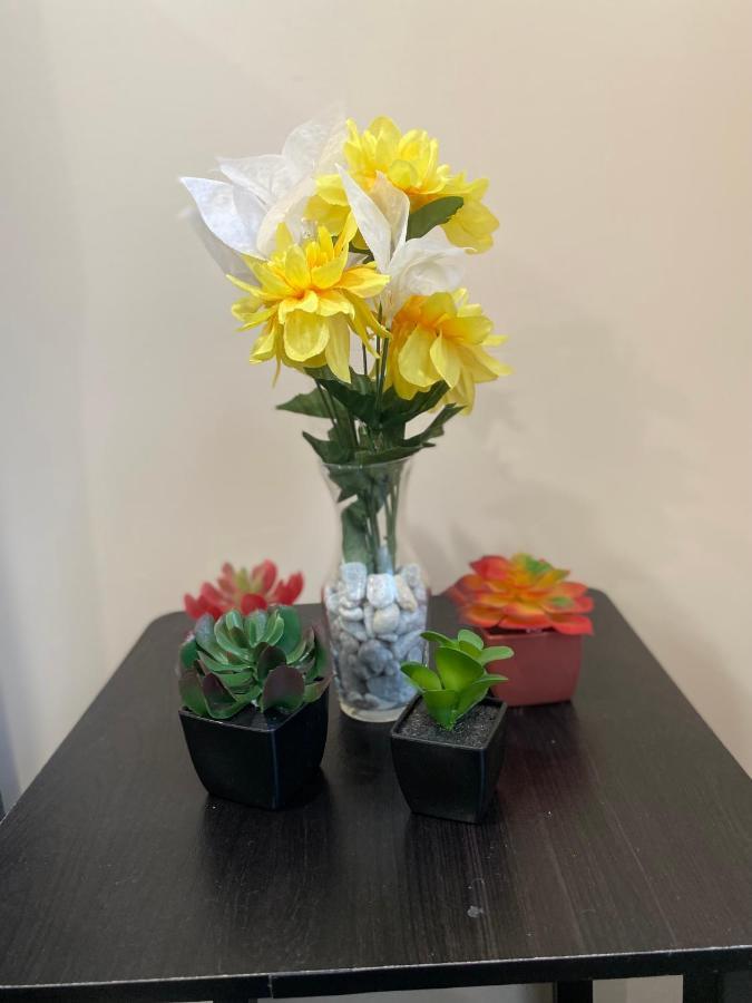 Private Room In South Philly Near Arenas! Филаделфия Екстериор снимка
