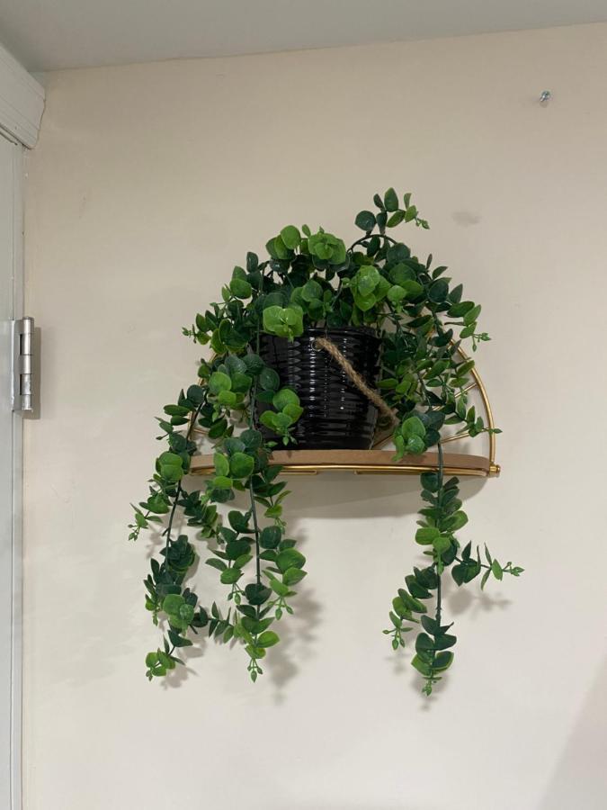 Private Room In South Philly Near Arenas! Филаделфия Екстериор снимка